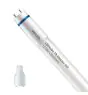 Philips LED Putki T8 MASTER (EM/Mains) High Output 12.5W 2100lm - 865 Päivänvalo Valkoinen | 120cm - Korvaa 36W